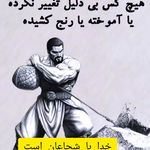 کلاب بوکس شاهین