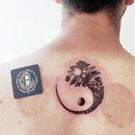 تتوی بدن و پیرسینگ آناهیتا ناظری
