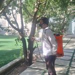 شرکت سمپاشی شیمی گستر