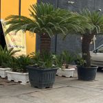 آکادمی ورزشی خاص