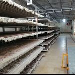 قالیشویی مدرن