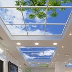 سقف کاذب - کناف علیرضا حدادی تنها