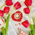 لباس زیر برند