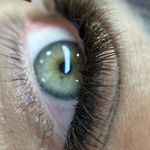 خدمات تخصصی کاشت و اکستنشن مژه فرشته