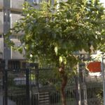 دفترخانه ٩٧٤ تهران