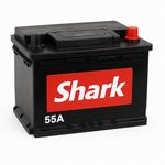 فروشگاه باتری پورکیانی (پروتن)