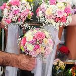 گلفروشی سی تو (ارسال رایگان)