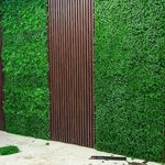پخش نصب کاغذدیواری دکو لوکس هوم قلعه گنج