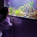 مرکزتخصصی ماساژ پَر