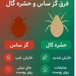 سمپاشی نوین پاک