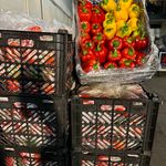 بازرگانی فارم پلاس