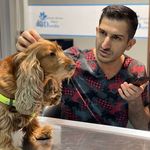 بیمارستان دامپزشکی شبانه روزی درنیکا