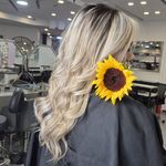 انواع رنگ ولایت، کوپ فوق تخصصی نسرین