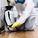 خدمات سمپاشی محمدی