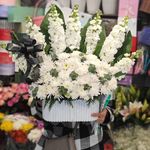 گلفروشی گل گندم آمل