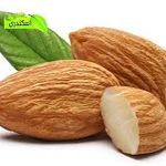 آجیل و خشکبار ارجمند