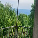 اقامتگاه سعید