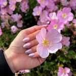 خدمات ناخن قلی زاده