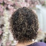 فرفری کراتین نیلوفر قدمی