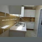 شیشه و آینه پایتخت
