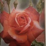 آموزش نقاشی و طراحی ارژنگ