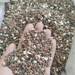 ملزومات حیوانات خانگی حقی (پتشاپ)