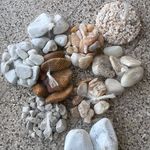 بازرگانی سنگ نیک