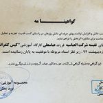 روانشناس و مشاوره نفیسه شرکت العباسیه