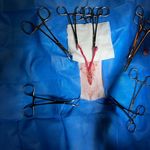 کلینیک دامپزشکی پاندورا