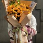 آلپینا گلفروشی تربت حیدریه