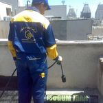 عمران بام گستران