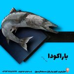 فروشگاه عرضه  مرغ و ماهی طاهری