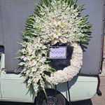 گل فروشی دنیز (آنلاین) -ارسال فوری