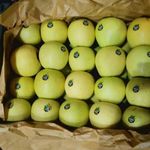 دفتر بازرگانی اِروس