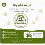 خدمات تخصصی حیوانات پناه
