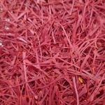 فروش زرشک و زعفرون تازه