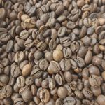 فروش عمده قهوه موسی زاده