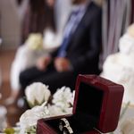 عکاس حنطوش زاده