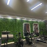 مجموعه ورزشی ضربان شعبه دارآباد