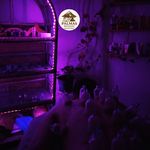 ماساژ پالماس