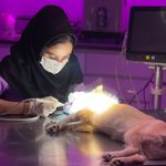 کلینیک دامپزشکی مرکزی(دکتر مریم حیدرلو)