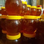 زنبورداری سیامک فروش عسل طبیعی
