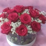 گلفروشی سی تو (ارسال رایگان)