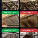 محصولات تخصصی پاکوژن (چربی زدا و جرمگیر)