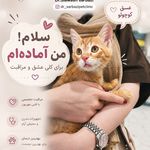 کلینیک حیوانات خانگی دکتر سربازی