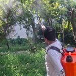 شرکت سمپاشی شیمی گستر