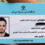 کارشناسی خودرو رنگ وفنی(سیار)کل تهران