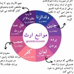 موسسه حقوقی حامیان عدالت