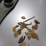 تعمیرات لوازم خانگی ریاحی
