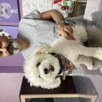 کلینیک دامپزشکی هفال